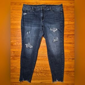 Maurices 24 Regular Distressed Jeans